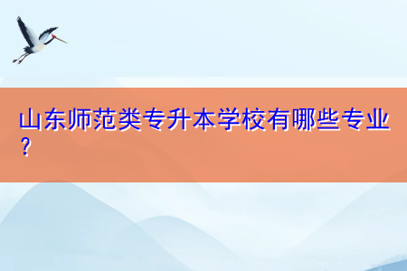 山東師范類專升本學(xué)校有哪些專業(yè)？