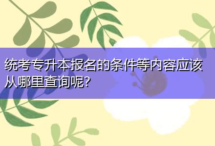 統(tǒng)考專升本報名的條件等內(nèi)容應(yīng)該從哪里查詢呢？