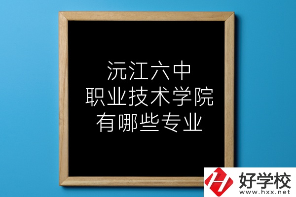 湖南沅江六中職業(yè)技術(shù)學(xué)院有哪些專業(yè)？