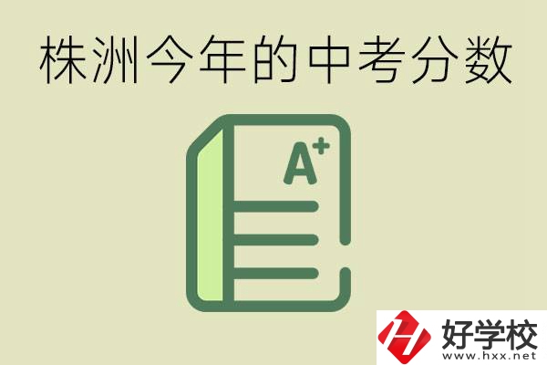 株洲今年中考多少分能上高中？沒考上有什么選擇？