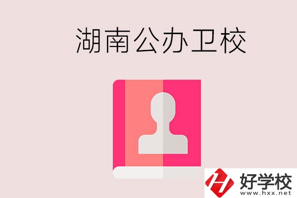 想在湖南上公辦衛(wèi)校可以選擇哪些學(xué)校？