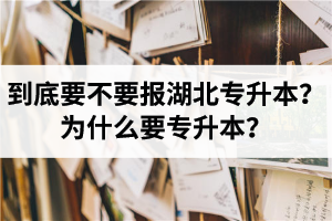 到底要不要報(bào)湖北專升本？為什么要專升本？