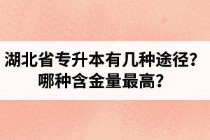 湖北省專升本有幾種途徑？哪種含金量最高？