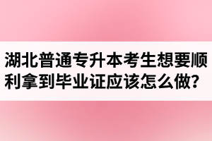 湖北普通專升本考生想要順利拿到畢業(yè)證應該怎么做？