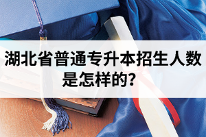 湖北省普通專升本招生人數(shù)是怎樣的？