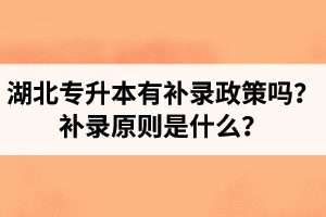 湖北專升本有補(bǔ)錄政策嗎？補(bǔ)錄原則是什么？