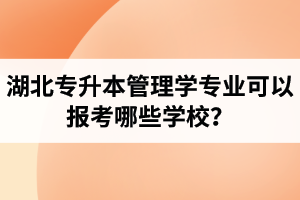 湖北專升本管理學(xué)專業(yè)可以報(bào)考哪些學(xué)校？屬于管理學(xué)的專業(yè)有哪些？