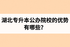 湖北專升本公辦院校的優(yōu)勢有哪些？為什么大家都想報(bào)公辦學(xué)校？