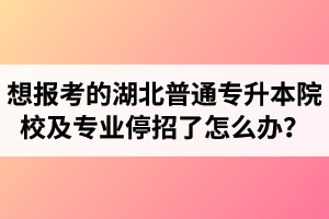 想報(bào)考的湖北普通專升本院校及專業(yè)停招了怎么辦？