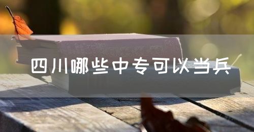 四川哪些中專可以當(dāng)兵(圖1)