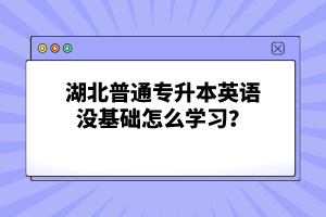 湖北普通專升本英語沒基礎(chǔ)怎么學(xué)習(xí)？