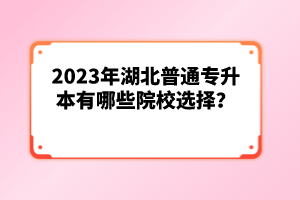 2023年湖北普通專升本有哪些院校選擇？