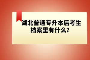 湖北普通專升本后考生檔案里有什么？