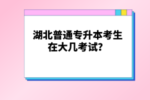 湖北普通專(zhuān)升本考生在大幾考試？