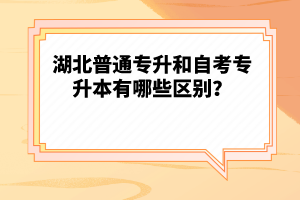 湖北普通專升和自考專升本有哪些區(qū)別？