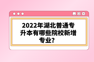 2022年湖北普通專升本有哪些院校新增專業(yè)？