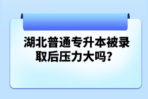 湖北普通專升本被錄取后壓力大嗎？