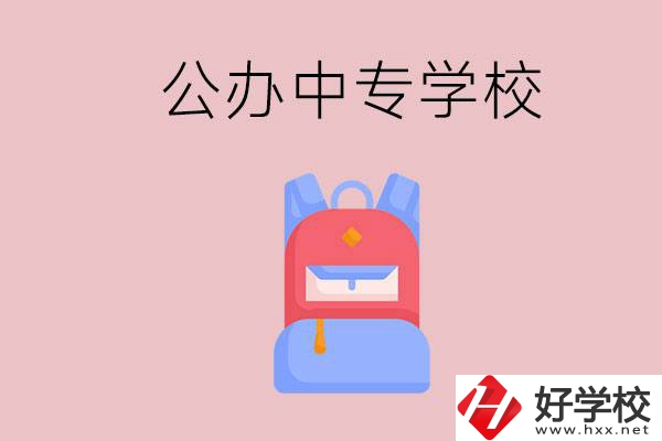 婁底有什么公辦中專學(xué)校？教學(xué)怎么樣？