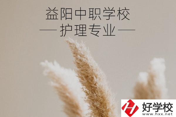 益陽護(hù)理專業(yè)的中職學(xué)校有哪些？需要哪些要求？