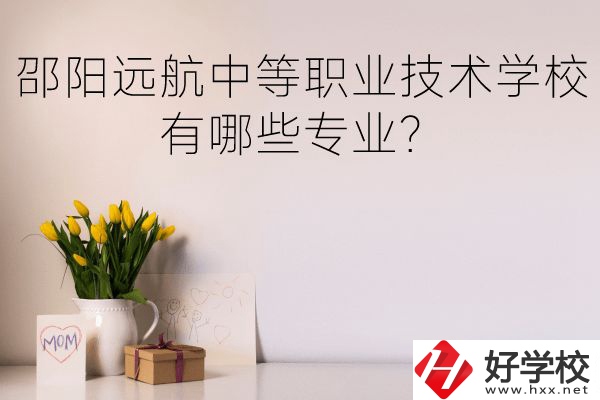 邵陽遠航中等職業(yè)技術(shù)學校有哪些專業(yè)？