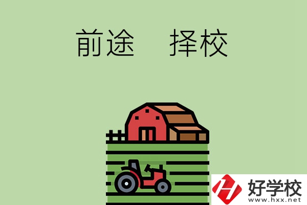 在長(zhǎng)沙讀中職學(xué)校有前途嗎，如何擇校？