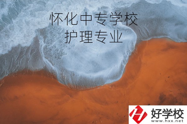 懷化有學(xué)護(hù)理專業(yè)的中專學(xué)校嗎？