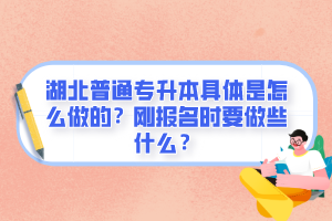 湖北普通專升本具體是怎么做的？剛報名時要做些什么？