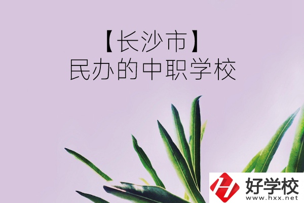 長(zhǎng)沙市有哪些民辦的中職學(xué)校？