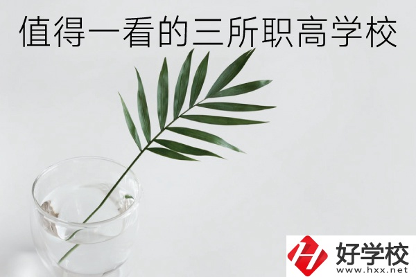 湖南有什么好的職高學(xué)校？這3所學(xué)校值得一看！