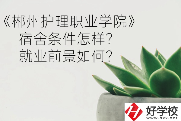 郴州護理職業(yè)學院宿舍條件怎樣？就業(yè)前景如何？