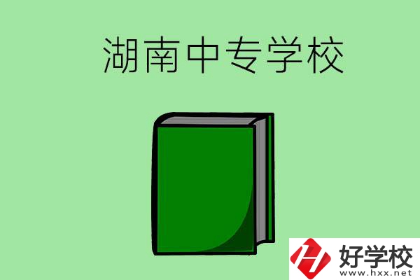 湖南的中專學(xué)校有哪些？都開(kāi)設(shè)了哪些專業(yè)？