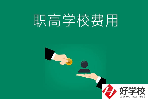 上懷化的公立職高學(xué)校要多少費(fèi)用？