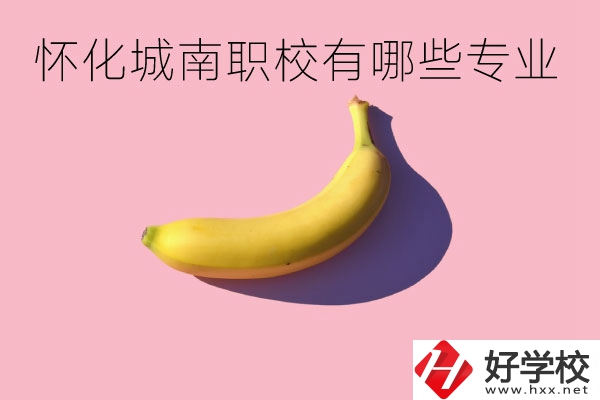 懷化城南職業(yè)學校有哪些專業(yè)？學校好不好？