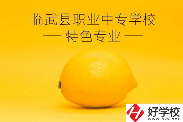 臨武縣職業(yè)中專學(xué)校好嗎？有哪些特色專業(yè)？