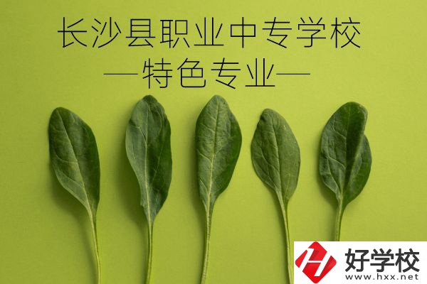 長沙縣職業(yè)中專學(xué)校怎么樣？有什么特色專業(yè)？