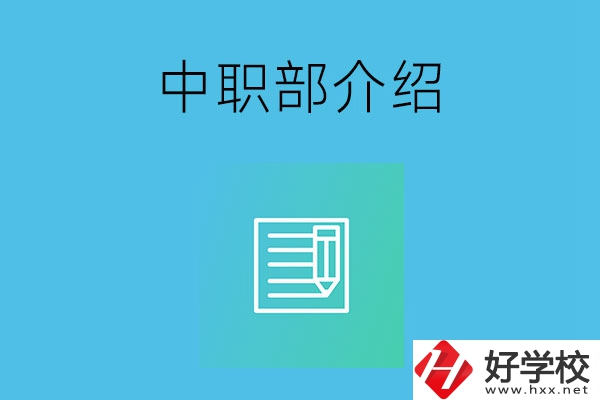 湘潭院校中職部介紹，這幾所學(xué)校你知道嗎？