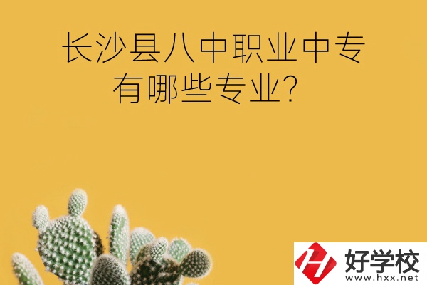 長沙縣八中職業(yè)中專好不好？有哪些專業(yè)？