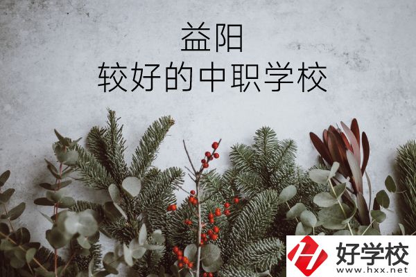 益陽(yáng)有哪些中職學(xué)校比較好？