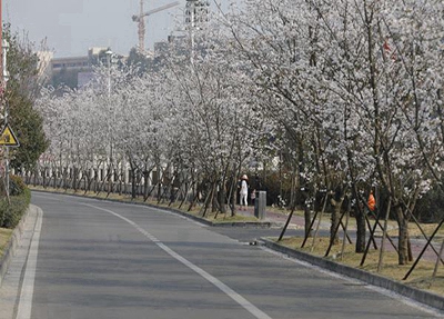 定西工貿(mào)中等專業(yè)學(xué)校2025年報名需要滿足哪些條件